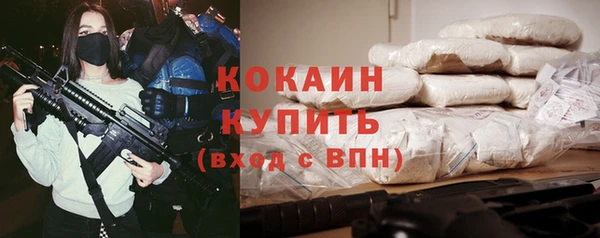 тгк Абаза