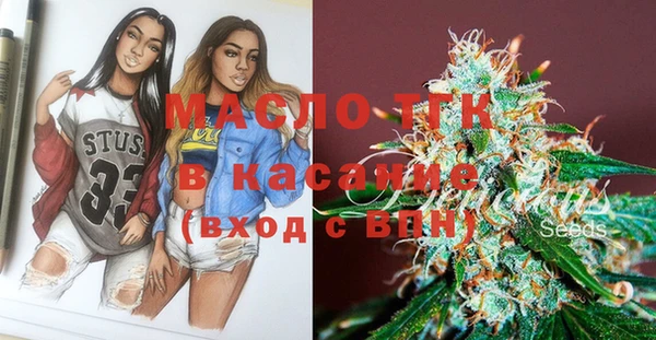 тгк Абаза