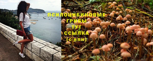 прущая мука Абинск
