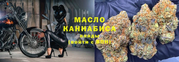 тгк Абаза